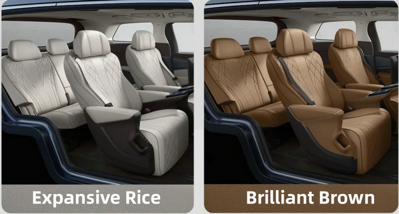 BYD Denza D9 Interior Color Options