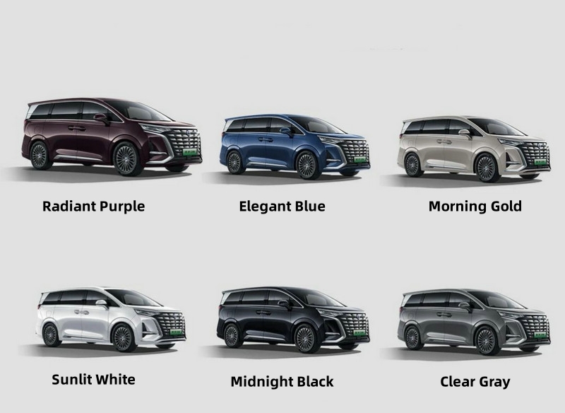 BYD Denza D9 Exterior Color Options