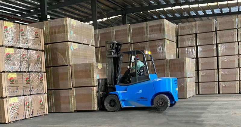 BYD Forklift 