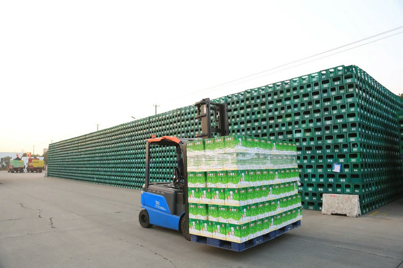 BYD forklift in port operations