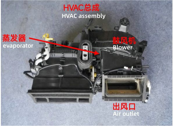 Detailed disassembly and analysis of the BYD Yuan (Otto 3)