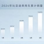 BYD sales in 2024