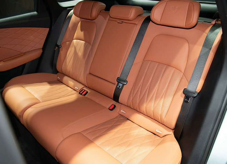 NETA L Rear seats