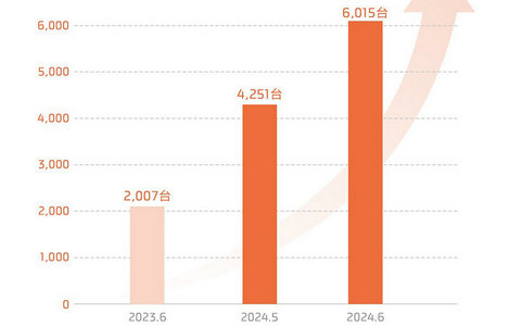 IM Auto Sales in June 2024