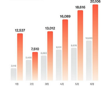 Zeekr sales in June 2024